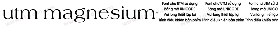 utm magnesium字体转换